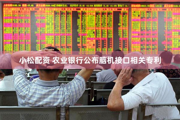 小松配资 农业银行公布脑机接口相关专利