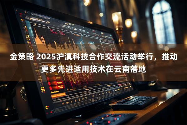 金策略 2025沪滇科技合作交流活动举行，推动更多先进适用技术在云南落地