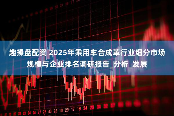 趣操盘配资 2025年乘用车合成革行业细分市场规模与企业排名调研报告_分析_发展